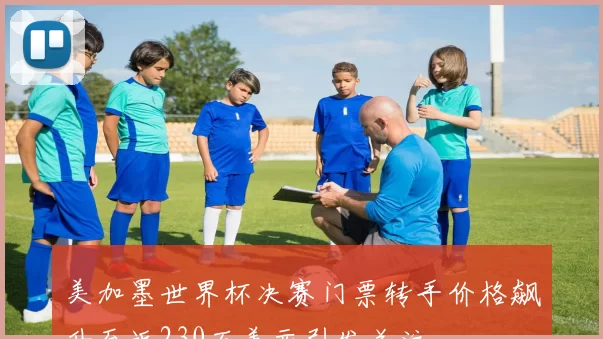 美加墨世界杯决赛门票转手价格飙升至近230万美元引发关注
