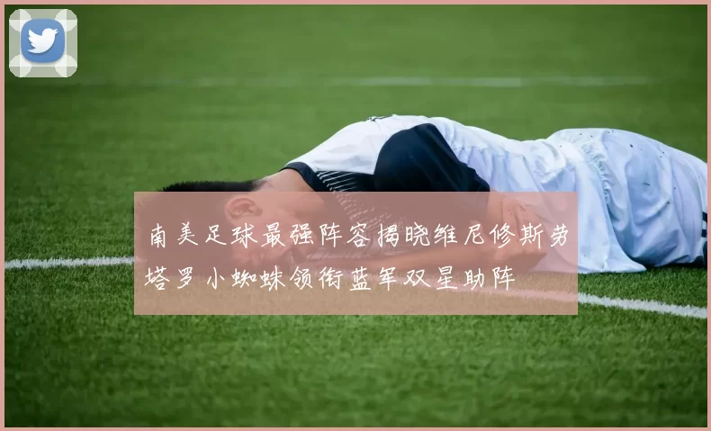 南美足球最强阵容揭晓维尼修斯劳塔罗小蜘蛛领衔蓝军双星助阵