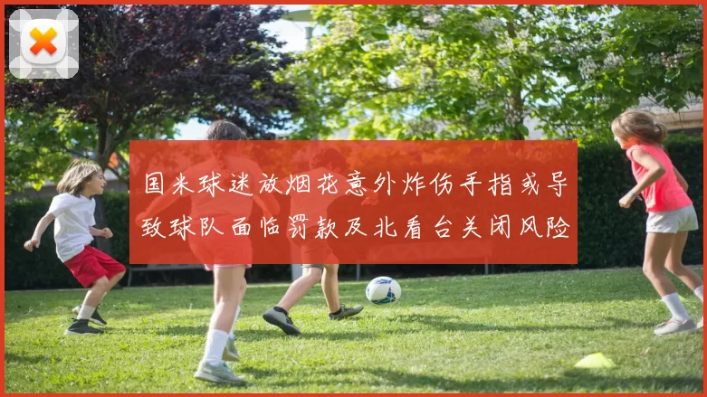 国米球迷放烟花意外炸伤手指或导致球队面临罚款及北看台关闭风险